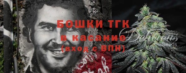 дурь Алексин