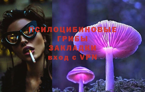ГАЛЛЮЦИНОГЕННЫЕ ГРИБЫ Алексеевка