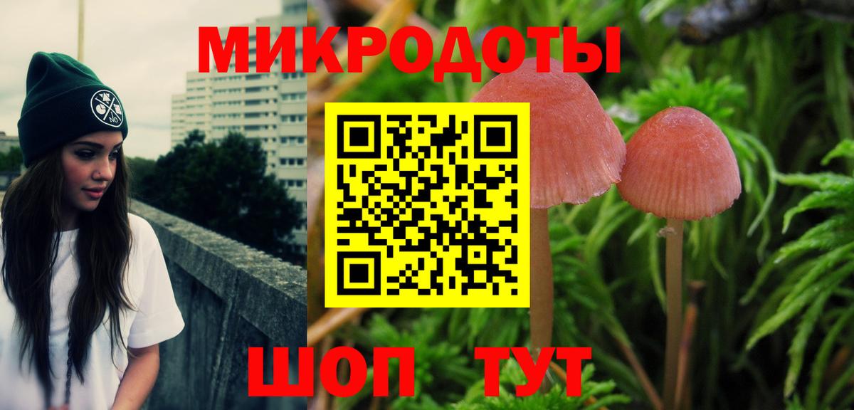 Лесосибирск  Галлюциногенные грибы мухоморы  купить наркотик  Вход с VPN  Галлюциногенные грибы Psilocybine cubensis 