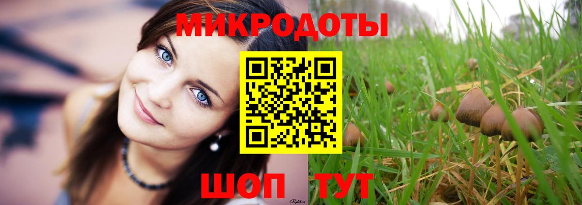 Псилоцибиновые грибы Psilocybine cubensis Лесосибирск